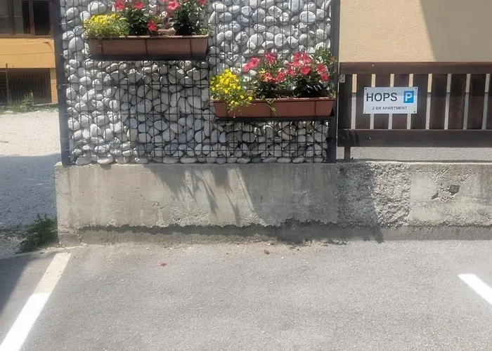 Thirsty River * בובק